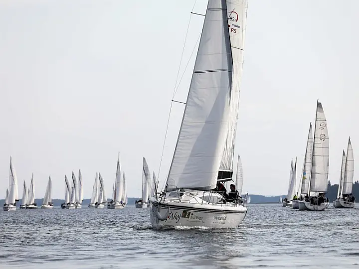 Maxus 33.1 RS Standard - 