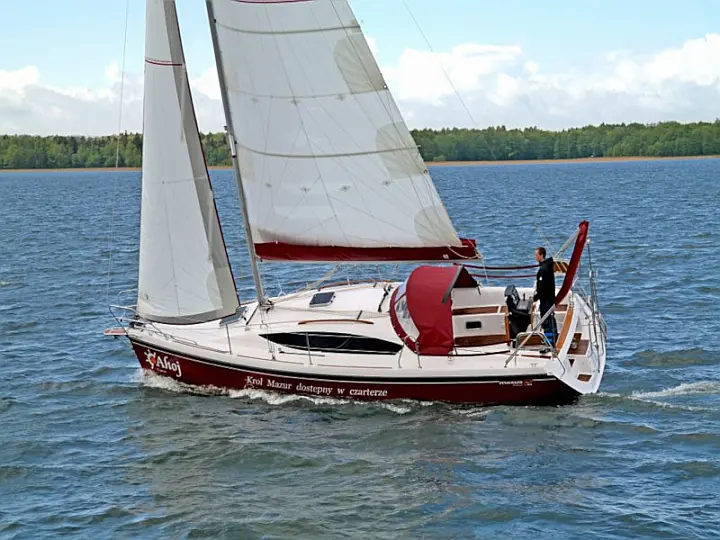 Maxus 33.1 RS Prestige  - 