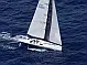Pogo 12.5 - 