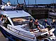 Sealine F430  - 