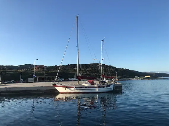 Amphitrite 43