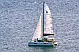 Lagoon 42 - 