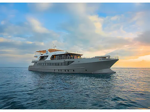 Luxury Motor Yacht - Tribute
