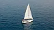 Sun Odyssey 509 - 
