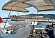 Tanna 47 - 