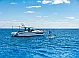 Nimbus Tender T11 - 
