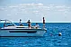 Nimbus Tender T11 - 