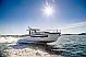Nimbus Tender T11 - 