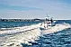 Nimbus Tender T11 - 