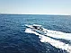 Nimbus Tender T11 - 