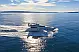 Maiora 20S - 