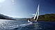 Jeanneau 54 - 