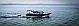 Dalmatian boat - 