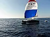 Dufour 48 Catamaran - 