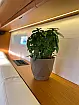 Jeanneau 54 - 