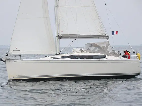 Delphia 31