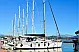 Bavaria Cruiser 50 - 