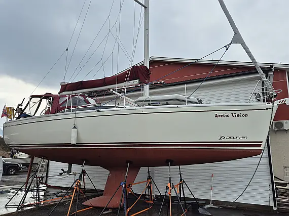 Delphia 37