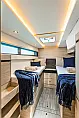 Leopard 50 - 