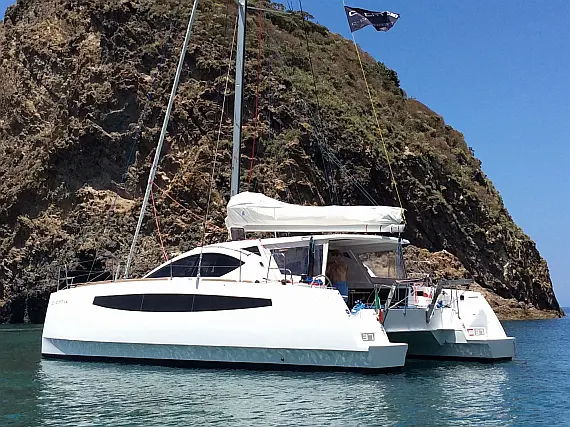 C-CAT 37