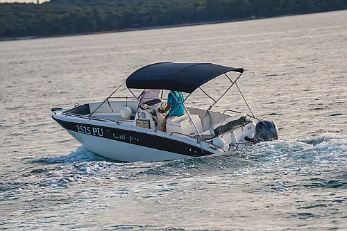 boat-sailing.gif
