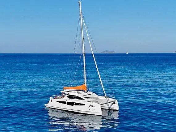 C-CAT 37