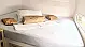 CatFlash 43 - 