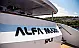 Motoryacht Alfa Mario - 