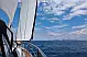 Ocean Star 51.2 - 