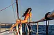 Ocean Star 51.2 - 