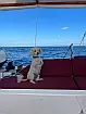Oceanis 51.1 - 