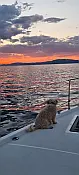 Oceanis 51.1 - 
