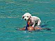 Oceanis 51.1 - 