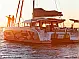 Excess 11 - 