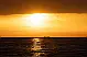 Bali 4.2 - 2024 - 