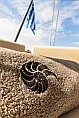 Bali 4.6 - 