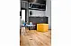 Campi 300 - 