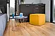 Campi 300 - 