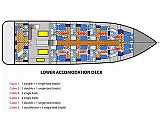 Duke of York - Cabin (triple-1 double + 1 single bed) - Layout image