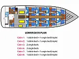 Conte Max - Cabin (triple-1 double bed + 1 single bed) - Layout image