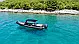 Lolivul 9 - 