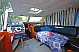 Haines 1070 - 