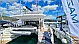 Mazarin 55 - 