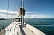 Sun Odyssey 519 - 