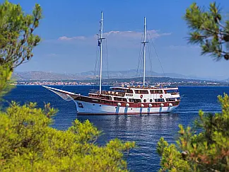 M/Y - External image