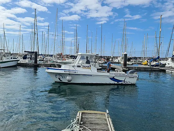 Tecninautica Marlin 22