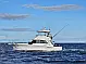 Riviera 39 Open Flybridge - 