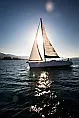 Cyclades 50.5 - 
