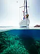Cyclades 50.5 - 