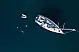 Cyclades 50.5 - 